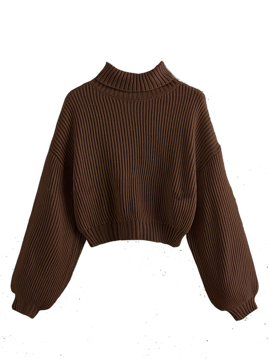 Turtle Neck Sweater Elegant Long Sleeve
